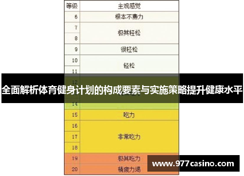 全面解析体育健身计划的构成要素与实施策略提升健康水平